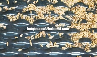 China Bridge Slot Perforation Metal Screen,Bridge Slot Grain Drying Screen supplier